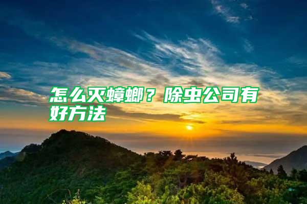 怎么滅蟑螂?除蟲公司有好方法