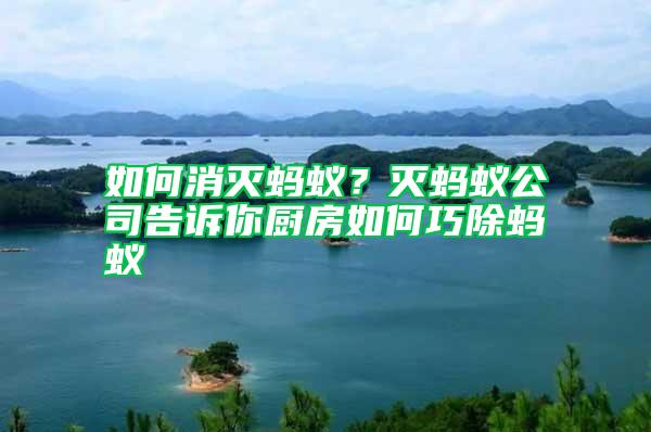 如何消滅螞蟻?滅螞蟻公司告訴你廚房如何巧除螞蟻