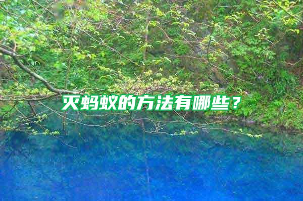 滅螞蟻的方法有哪些?