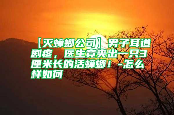 【滅蟑螂公司】男子耳道劇疼，醫(yī)生竟夾出一只3厘米長的活蟑螂！-怎么樣如何