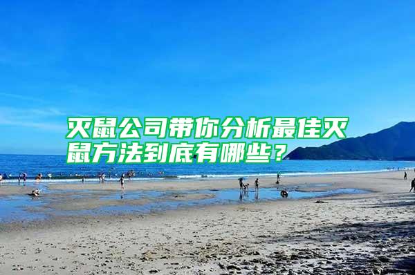 滅鼠公司帶你分析最佳滅鼠方法到底有哪些？