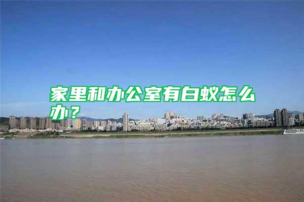 家里和辦公室有白蟻怎么辦?