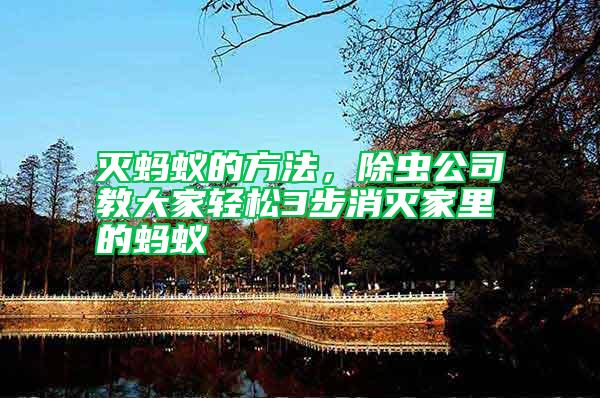 滅螞蟻的方法，除蟲公司教大家輕松3步消滅家里的螞蟻