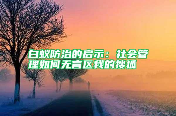 白蟻防治的啟示:社會管理如何無盲區我的搜狐