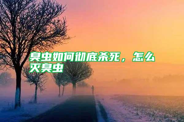 臭蟲如何徹底殺死，怎么滅臭蟲