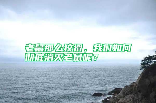 老鼠那么狡猾,我們如何徹底消滅老鼠呢?