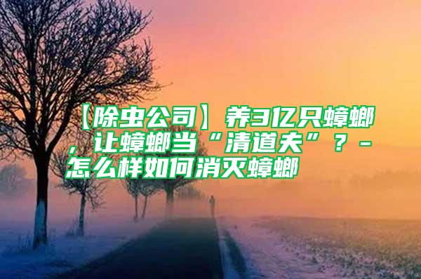 【除蟲公司】養3億只蟑螂,讓蟑螂當“清道夫”?-怎么樣如何消滅蟑螂