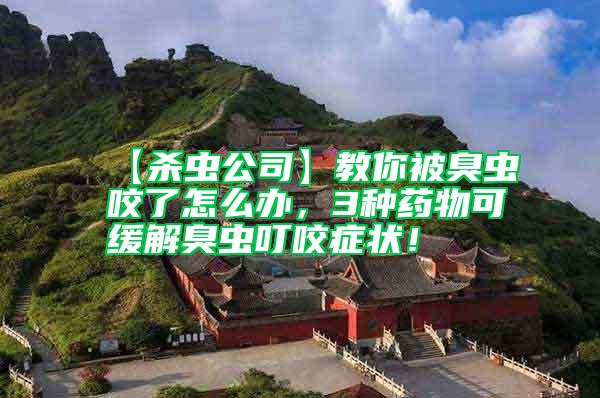 【殺蟲公司】教你被臭蟲咬了怎么辦，3種藥物可緩解臭蟲叮咬癥狀！