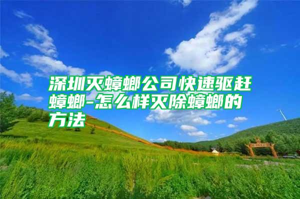 深圳滅蟑螂公司快速驅(qū)趕蟑螂-怎么樣滅除蟑螂的方法