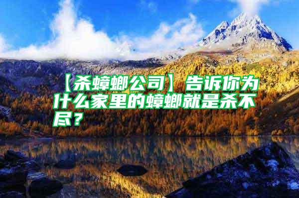 【殺蟑螂公司】告訴你為什么家里的蟑螂就是殺不盡？