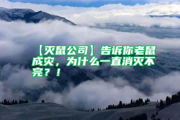 【滅鼠公司】告訴你老鼠成災，為什么一直消滅不完？！