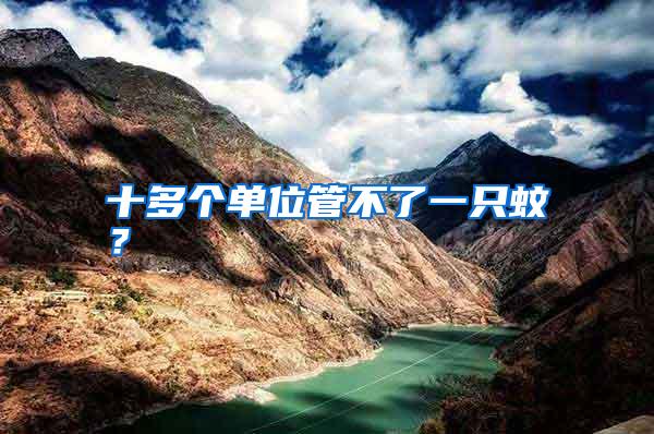 十多個單位管不了一只蚊?