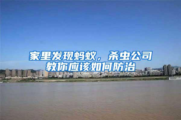 家里發現螞蟻，殺蟲公司教你應該如何防治