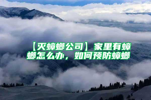 【滅蟑螂公司】家里有蟑螂怎么辦，如何預(yù)防蟑螂