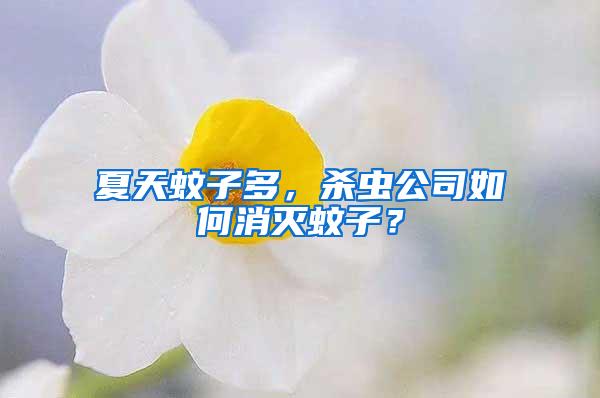 夏天蚊子多,殺蟲公司如何消滅蚊子?