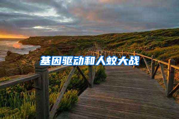 基因驅(qū)動和人蚊大戰(zhàn)