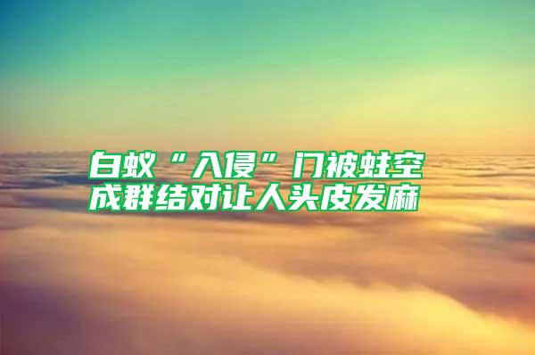 白蟻“入侵”門(mén)被蛀空 成群結(jié)對(duì)讓人頭皮發(fā)麻