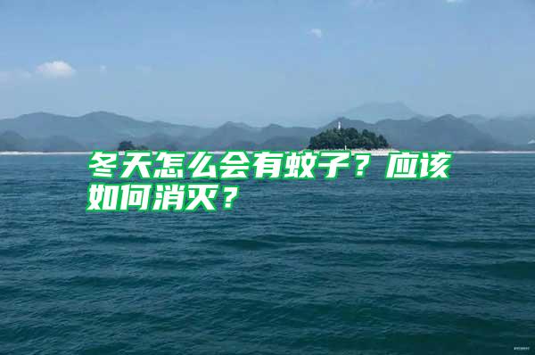 冬天怎么會(huì)有蚊子？應(yīng)該如何消滅？