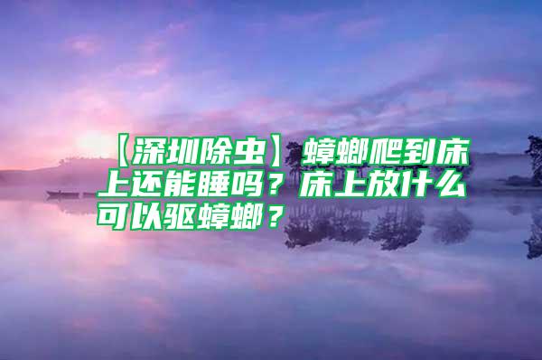 【深圳除蟲】蟑螂爬到床上還能睡嗎?床上放什么可以驅蟑螂?