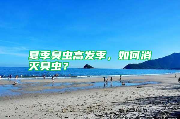 夏季臭蟲高發季，如何消滅臭蟲？