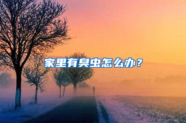 家里有臭蟲怎么辦？