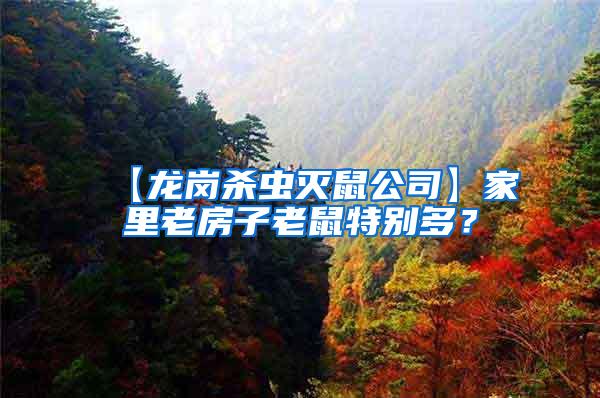 【龍崗殺蟲滅鼠公司】家里老房子老鼠特別多？