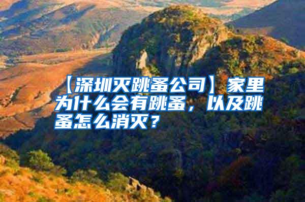 【深圳滅跳蚤公司】家里為什么會(huì)有跳蚤，以及跳蚤怎么消滅？