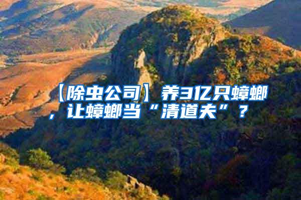 【除蟲公司】養3億只蟑螂，讓蟑螂當“清道夫”？