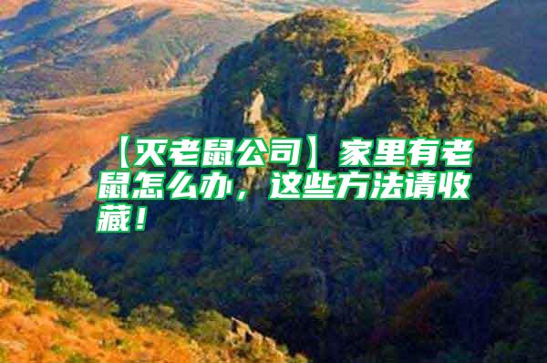 【滅老鼠公司】家里有老鼠怎么辦，這些方法請收藏！