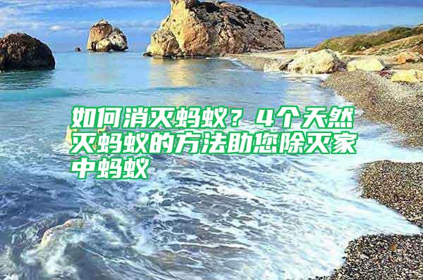 如何消滅螞蟻？4個天然滅螞蟻的方法助您除滅家中螞蟻