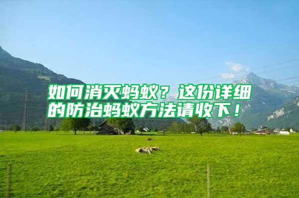 如何消滅螞蟻？這份詳細的防治螞蟻方法請收下！