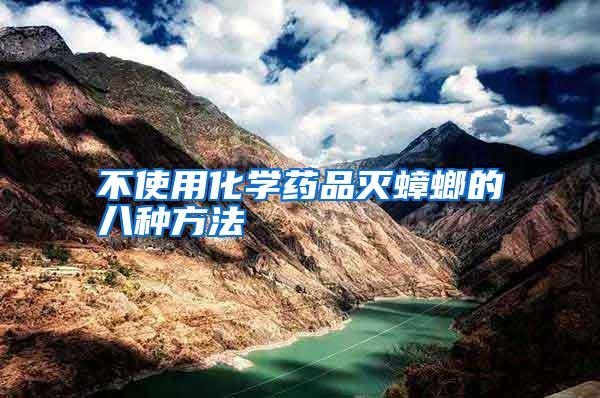 不使用化學(xué)藥品滅蟑螂的八種方法