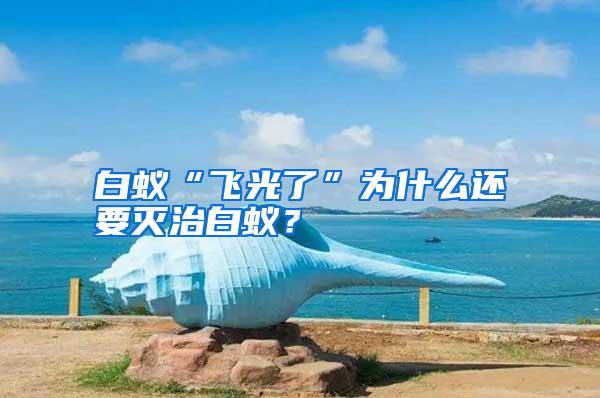 白蟻“飛光了”為什么還要滅治白蟻？