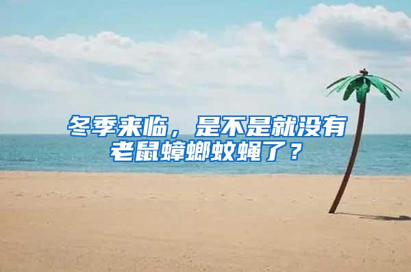 冬季來(lái)臨，是不是就沒(méi)有老鼠蟑螂蚊蠅了？