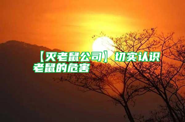 【滅老鼠公司】切實認(rèn)識老鼠的危害