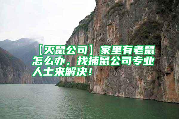 【滅鼠公司】家里有老鼠怎么辦，找捕鼠公司專業(yè)人士來解決！