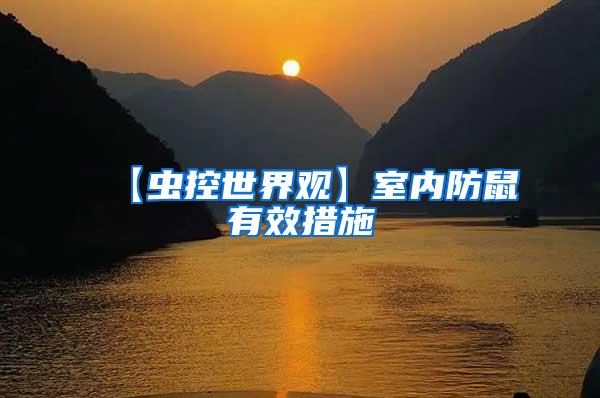 【蟲控世界觀】室內防鼠有效措施