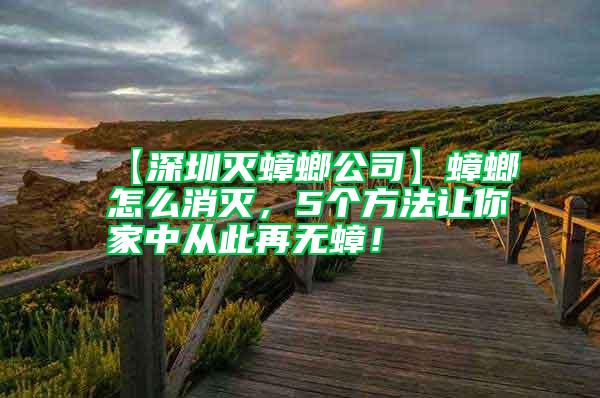【深圳滅蟑螂公司】蟑螂怎么消滅，5個方法讓你家中從此再無蟑！