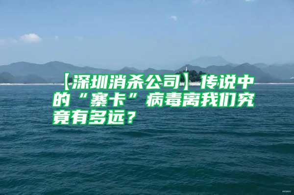 【深圳消殺公司】傳說中的“寨卡”病毒離我們究竟有多遠？