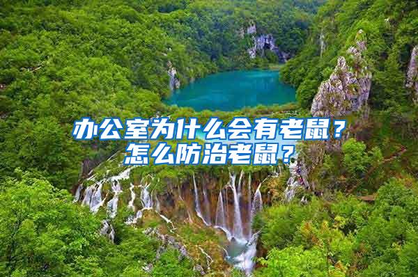 辦公室為什么會(huì)有老鼠？怎么防治老鼠？