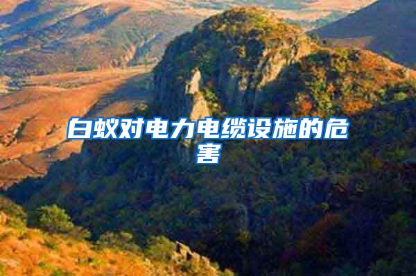 白蟻對電力電纜設施的危害