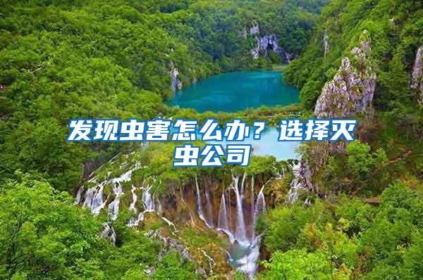 發(fā)現(xiàn)蟲害怎么辦？選擇滅蟲公司