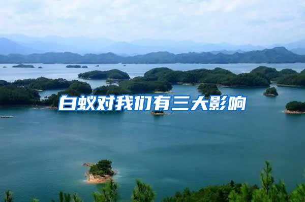 白蟻對(duì)我們有三大影響