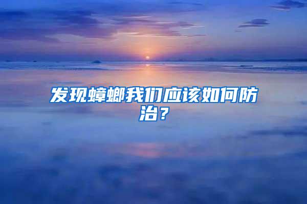發現蟑螂我們應該如何防治?
