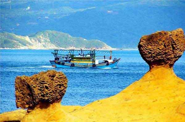 深圳專業滅臭蟲公司上門殺臭蟲服務多少錢，怎么收費的？