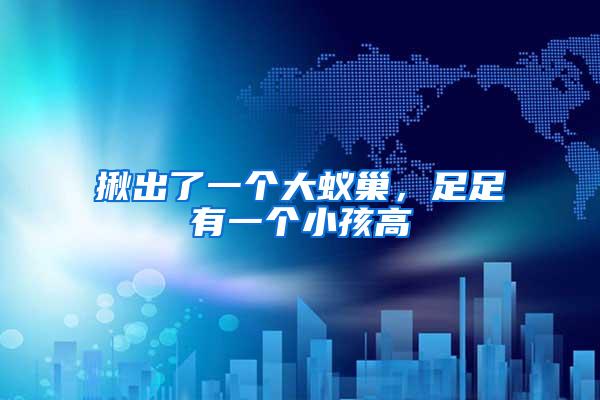 揪出了一個大蟻巢，足足有一個小孩高