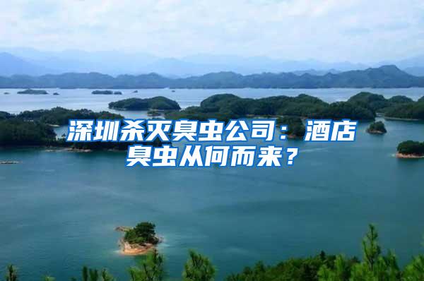 深圳殺滅臭蟲公司：酒店臭蟲從何而來？