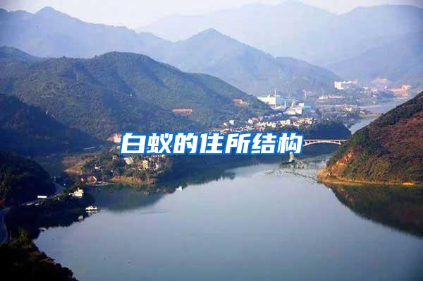 白蟻的住所結構