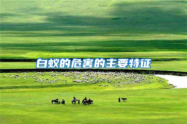 白蟻的危害的主要特征