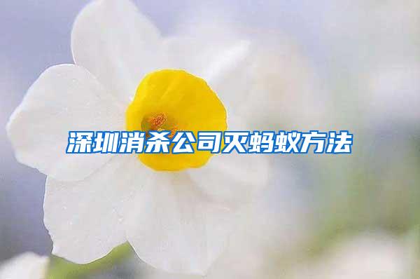 深圳消殺公司滅螞蟻方法